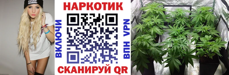 Купить закладку Шиханы Кокаин Меф мяу мяу А ПВП Каннабис Гашиш