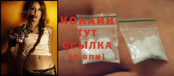 тгк Абаза