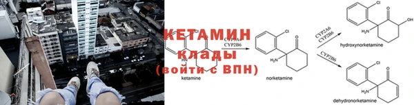 шишки Алексеевка