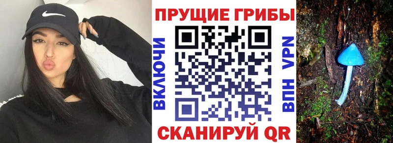 Галлюциногенные грибы мицелий  магазин продажи   Шиханы 