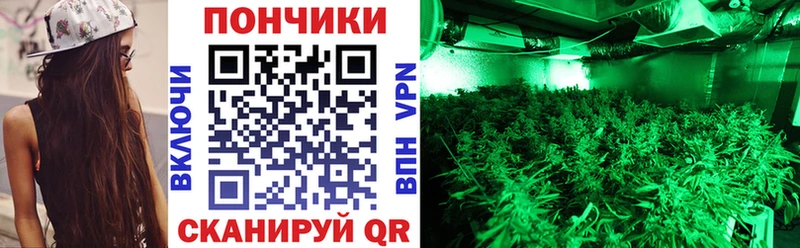 ссылка на мегу ссылка  Шиханы  площадка официальный сайт  Бошки Шишки OG Kush 